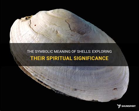 shell sa tagalog|Shell Meaning .